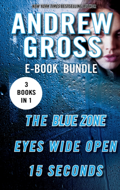 The Andrew Gross Thriller : The Blue Zone, Eyes Wide Open, and 15 Seconds, EPUB eBook