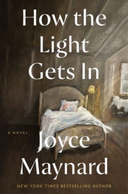 How the Light Gets In : A Novel, Hardback Book