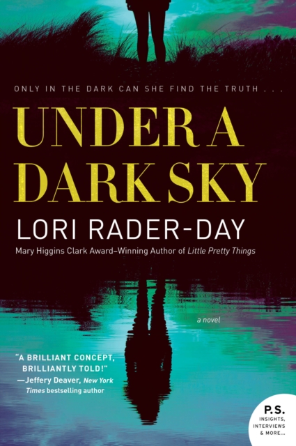 Under a Dark Sky : A Novel, EPUB eBook