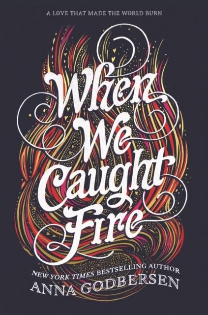 When We Caught Fire, EPUB eBook