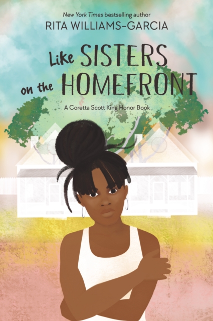 Like Sisters on the Homefront, EPUB eBook