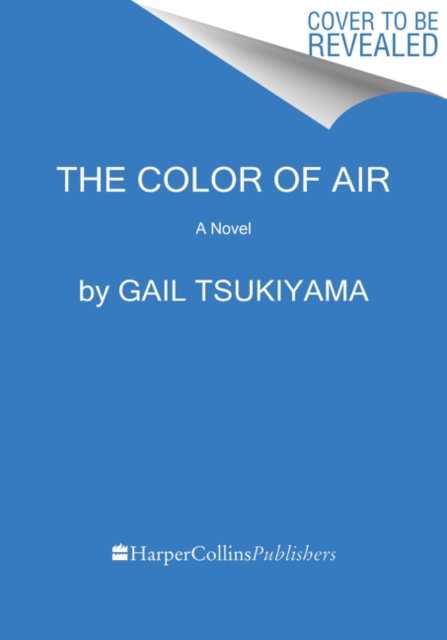 The Color of Air : A Novel, Paperback / softback Book