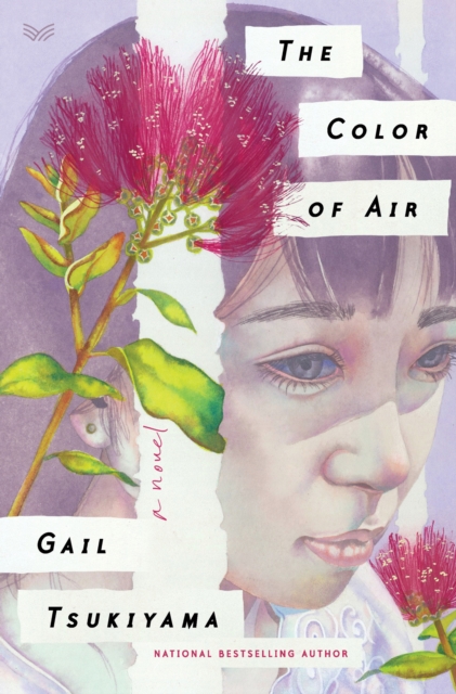 The Color of Air, EPUB eBook