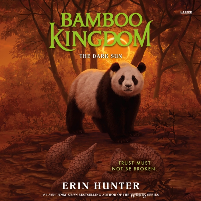 Bamboo Kingdom #4: The Dark Sun, eAudiobook MP3 eaudioBook
