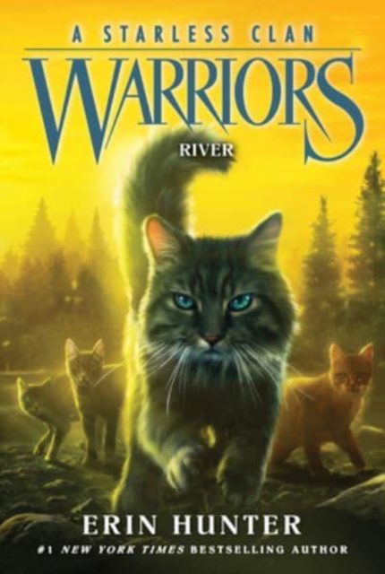 Warriors: A Starless Clan #1: River, Paperback / softback Book