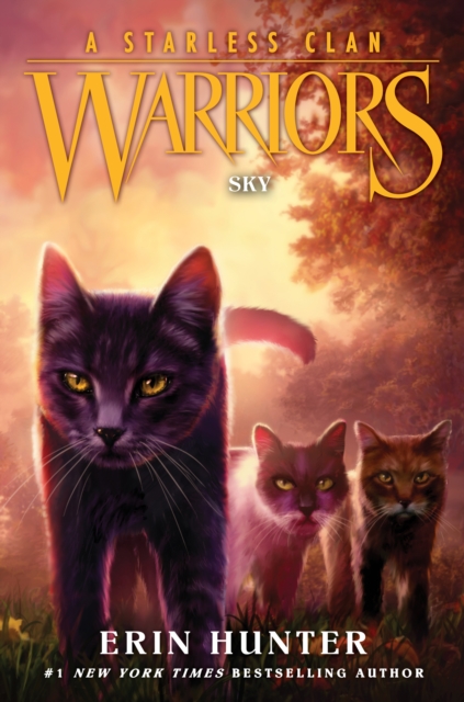 Warriors: A Starless Clan #2: Sky, EPUB eBook