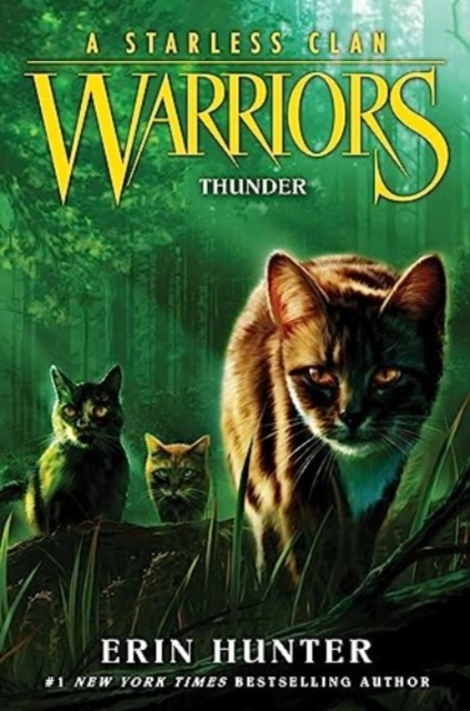 Warriors: A Starless Clan #4: Thunder, Hardback Book