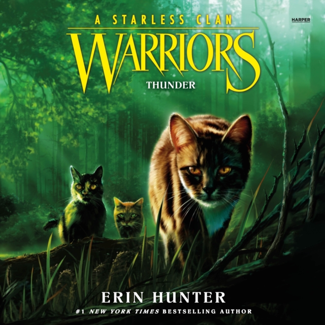 Warriors: a Starless Clan #4: Thunder, eAudiobook MP3 eaudioBook