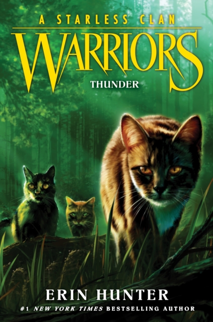 Warriors: A Starless Clan #4: Thunder, EPUB eBook