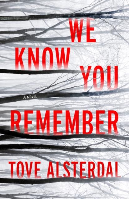 We Know You Remember : A Novel, EPUB eBook