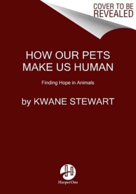 What It Takes to Save a Life : A Veterinarian's Quest for Healing and Hope, Hardback Book