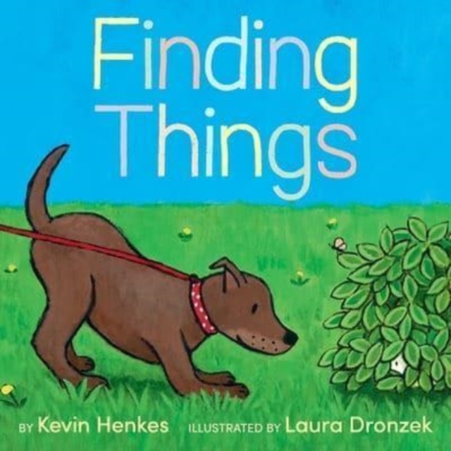Finding Things, Hardback Book