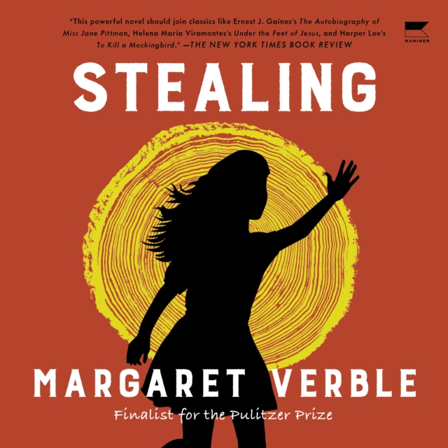 Stealing : A Novel, eAudiobook MP3 eaudioBook