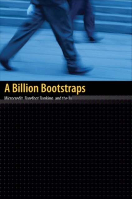 A Billion Bootstraps: Microcredit, Barefoot Banking, and The Business Solution for Ending Poverty, PDF eBook