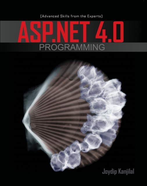 ASP.NET 4.0 Programming, EPUB eBook