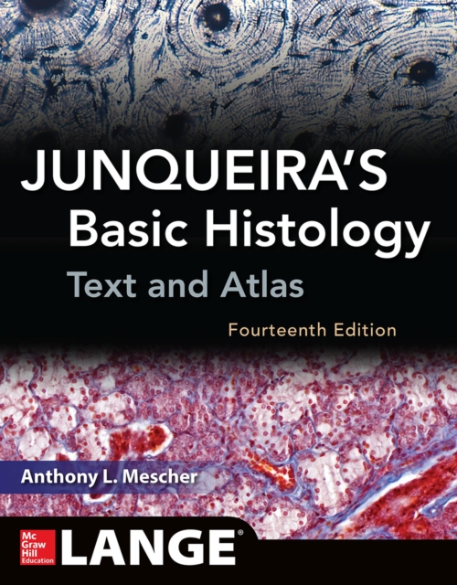 JUNQUEIRAS BASIC HISTOLOGY 14E, EPUB eBook