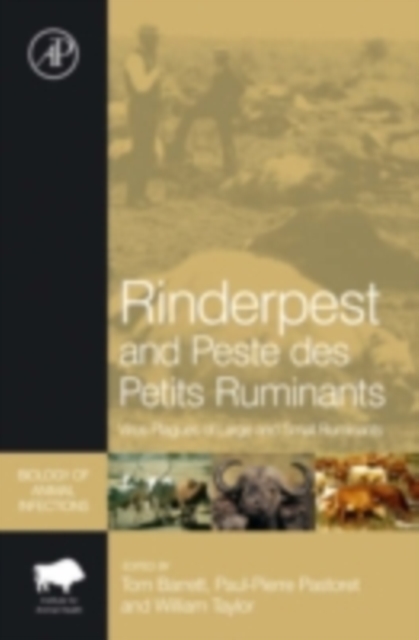 Rinderpest and Peste des Petits Ruminants : Virus Plagues of Large and Small Ruminants, PDF eBook