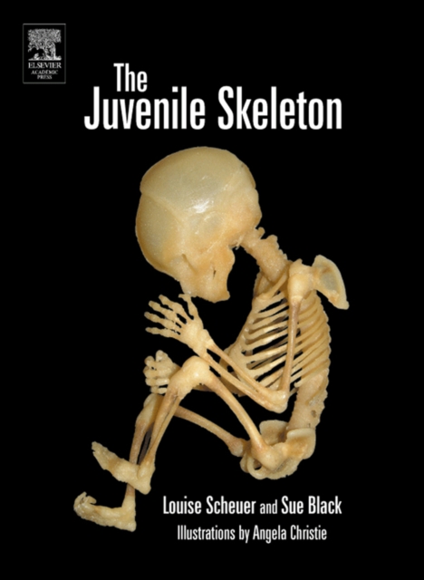 The Juvenile Skeleton, PDF eBook