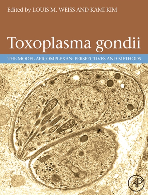 Toxoplasma Gondii : The Model Apicomplexan. Perspectives and Methods, EPUB eBook