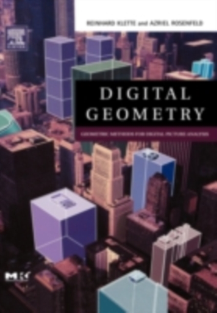 Digital Geometry : Geometric Methods for Digital Picture Analysis, PDF eBook
