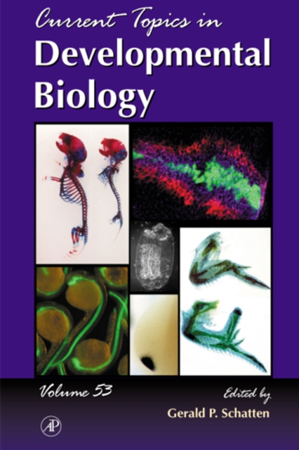 Current Topics in Developmental Biology, PDF eBook