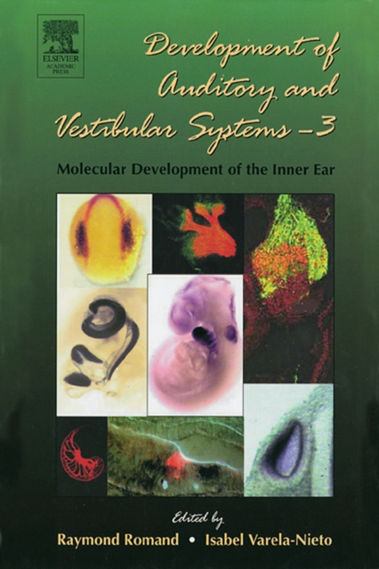 Development of Auditory and Vestibular Systems-3: Molecular Development of the Inner Ear, PDF eBook
