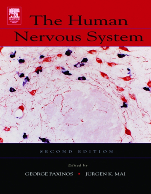 The Human Nervous System, PDF eBook