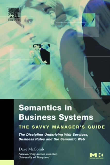 Semantics in Business Systems : The Savvy Manager's Guide, PDF eBook