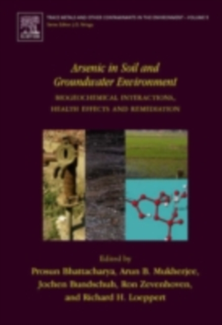 Arsenic in Soil and Groundwater Environment : Biogeochemical Interactions, Health Effects and Remediation, PDF eBook