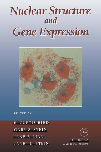 Nuclear Structure and Gene Expression : Nuclear Matrix and Chromatin Structure, PDF eBook