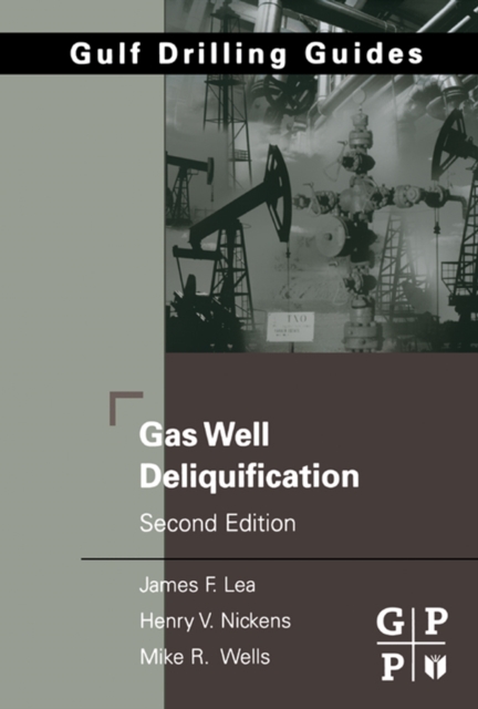 Gas Well Deliquification, EPUB eBook
