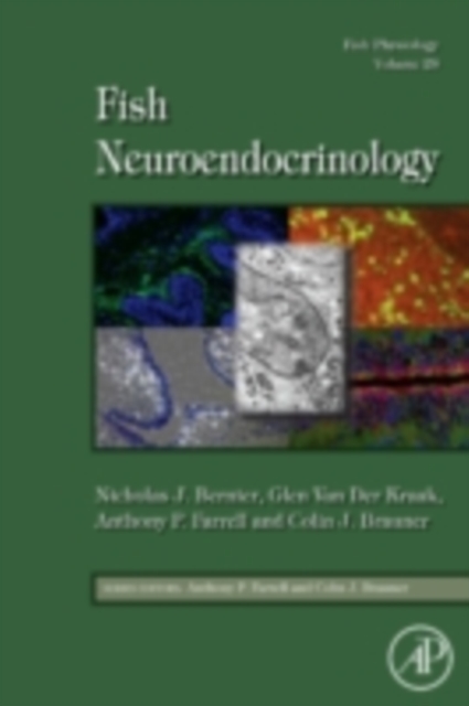 Fish Physiology: Fish Neuroendocrinology, PDF eBook