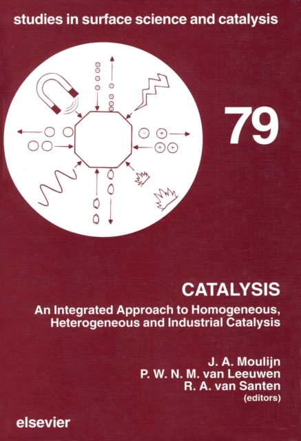 Catalysis : An Integrated Approach to Homogeneous, Heterogeneous and Industrial Catalysis, PDF eBook
