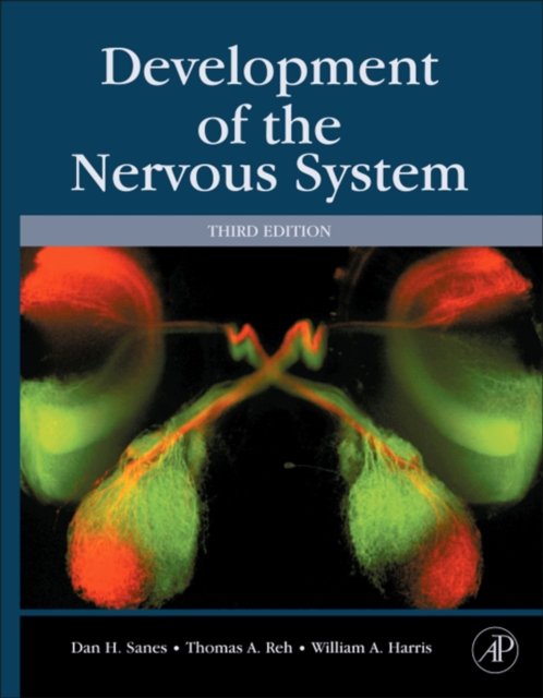 Development of the Nervous System, EPUB eBook