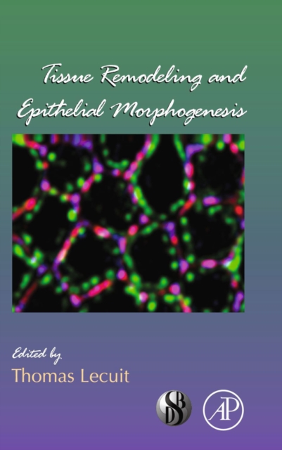 Tissue Remodeling and Epithelial Morphogenesis, PDF eBook