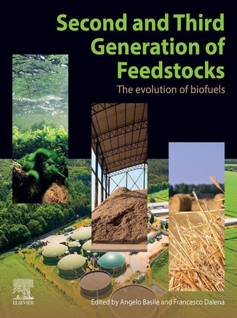 Second and Third Generation of Feedstocks : The Evolution of Biofuels, EPUB eBook