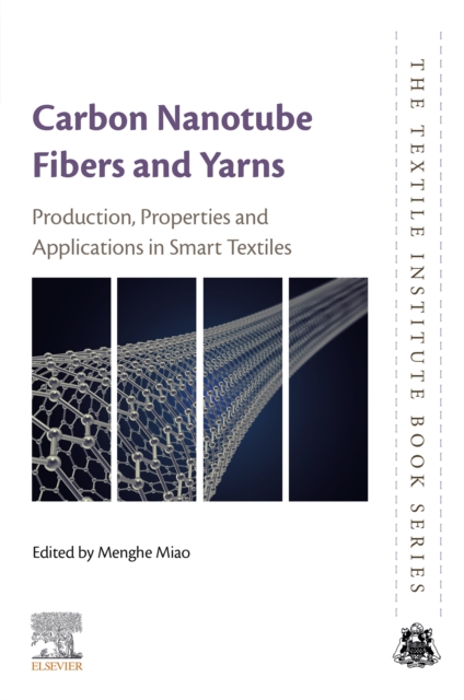 Carbon Nanotube Fibres and Yarns : Production, Properties and Applications in Smart Textiles, EPUB eBook