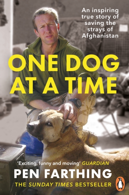 One Dog at a Time : An inspiring true story of saving the strays of Afghanistan, Paperback / softback Book