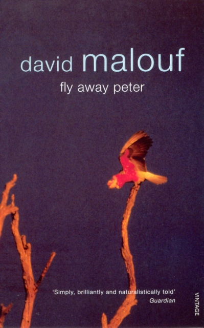 Fly Away Peter, Paperback / softback Book