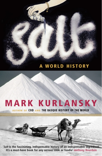 Salt, Paperback / softback Book