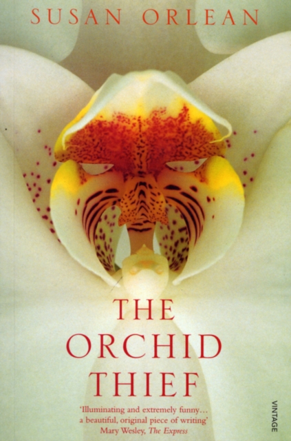 The Orchid Thief, Paperback / softback Book