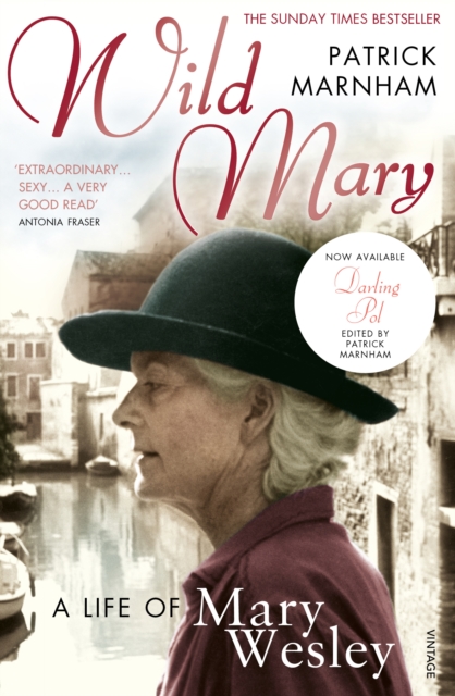 Wild Mary: The Life Of Mary Wesley, Paperback / softback Book