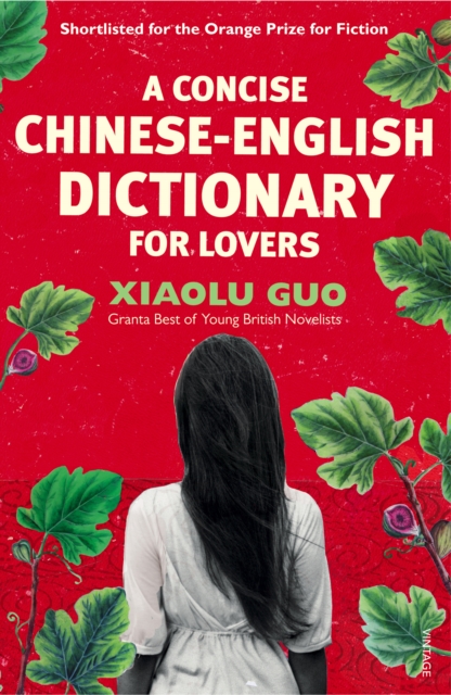 A Concise Chinese-English Dictionary for Lovers, Paperback / softback Book