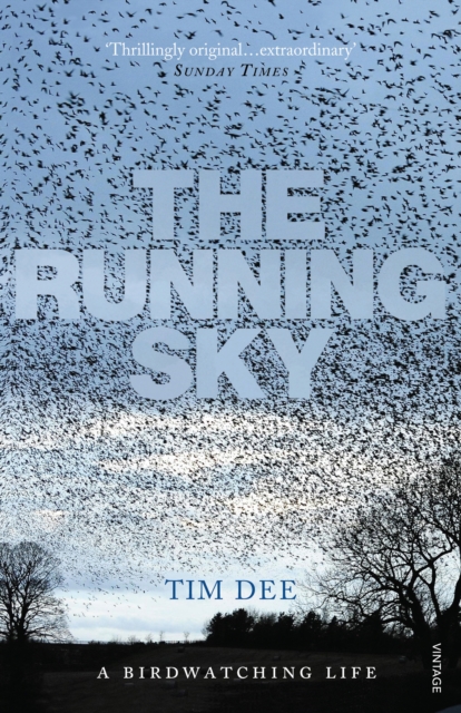 The Running Sky : A Bird-Watching Life, Paperback / softback Book