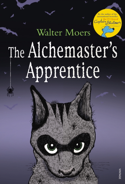 The Alchemaster's Apprentice, Paperback / softback Book