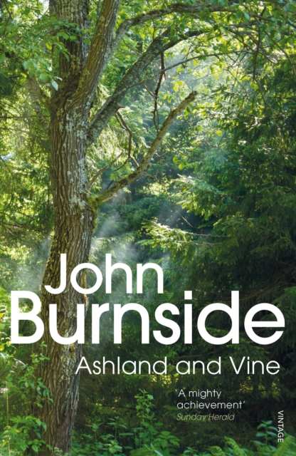 Ashland & Vine, Paperback / softback Book