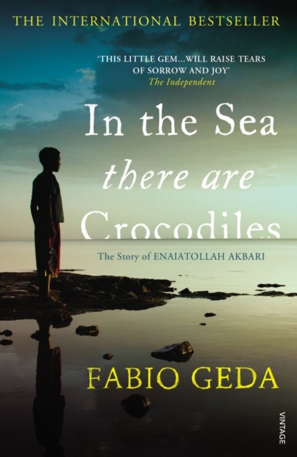 In the Sea There Are Crocodiles, Paperback / softback Book