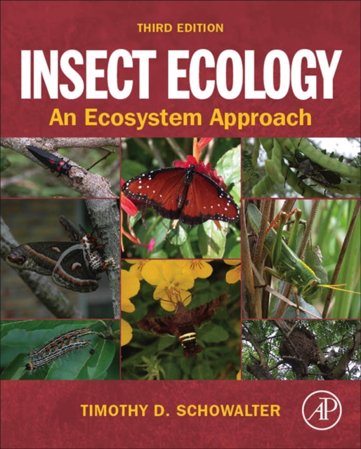 Insect Ecology : An Ecosystem Approach, EPUB eBook
