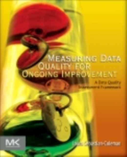 Measuring Data Quality for Ongoing Improvement : A Data Quality Assessment Framework, EPUB eBook
