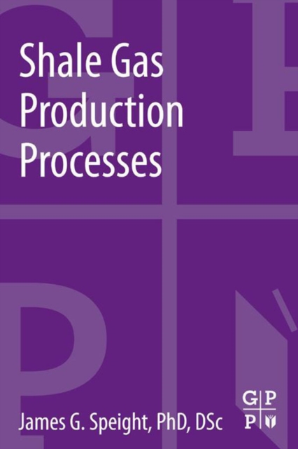 Shale Gas Production Processes, EPUB eBook